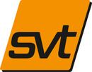 Logo svt Brandsanierung GmbH in Bremen